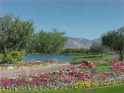 Vistoso Resort Casitas