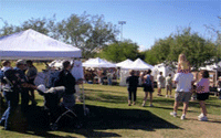 Greater Oro Valley Arts Council