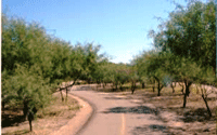 Tucson Bike Trail
