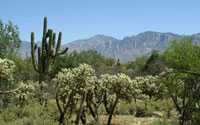 Oro Valley Building Lot on Coyote Blue