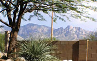 Oro Valley Home for Sale