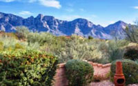 Sun City Oro Valley Homes for Sale