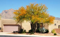 Home in Northwest Tucson