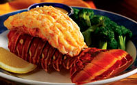 Red Lobster Restaurant in Tucson
