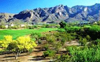 Oro Valley Country Club Tucson Arizona