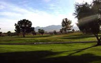 Golf Silverbell Golf 