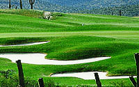 Starr Pass Golf