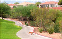 Views Golf Club At Sun City Oro Valley 