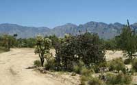 Oro Valley Building Lot on Coyote Blue