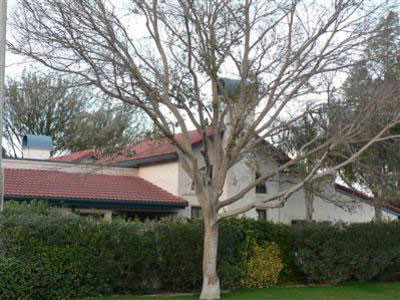 Tucson Home for Sale