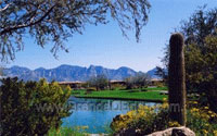 Oro Valley Home for Sale