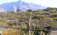 Tucson Home for Sale