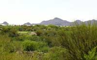 Oro Valley Home for Sale