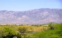 Oro Valley Home for Sale