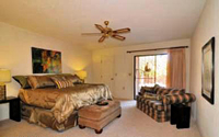 La Cholla Hills Home for Sale