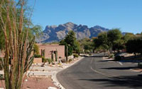 La Cholla Hills Home