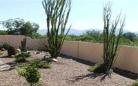 Oro Valley Home for Sale
