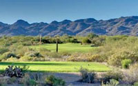 Rancho Vistoso Homes for Sale