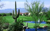 The Highlands at Dove Mountain Homes